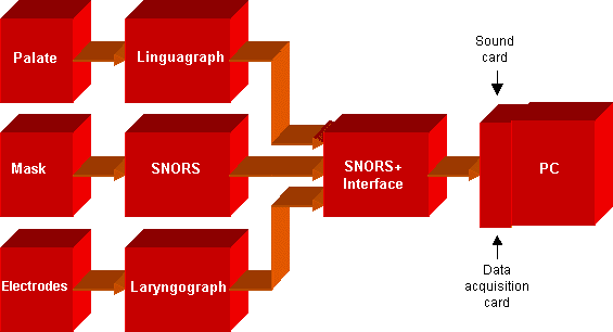 snors+ system flochart